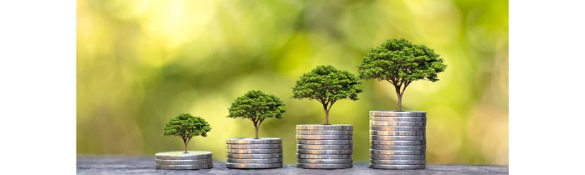 How a Virtual Assistant Can Help Grow Your Business