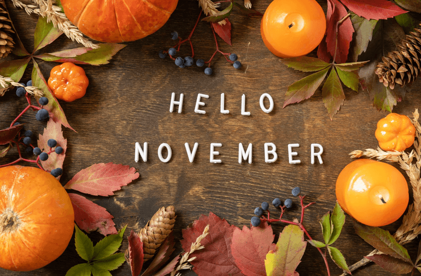 November Reset: How Virtual Assistants Help Businesses Refocus Before the Christmas Rush