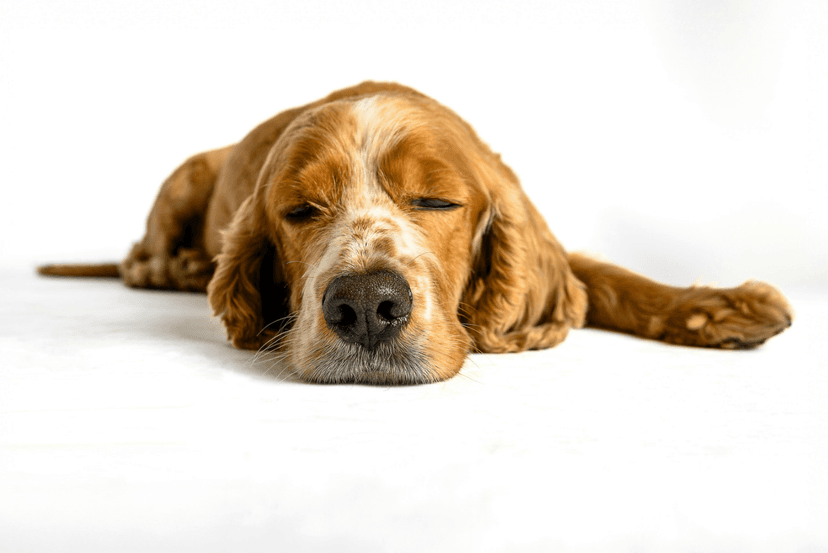 How to Survive the Mid-Summer Slump and Prep for the September Boom